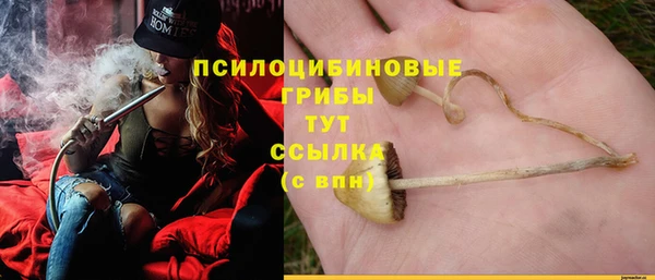 ПСИЛОЦИБИНОВЫЕ ГРИБЫ Вяземский
