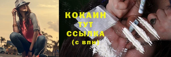 ПСИЛОЦИБИНОВЫЕ ГРИБЫ Вяземский
