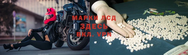 ПСИЛОЦИБИНОВЫЕ ГРИБЫ Вяземский