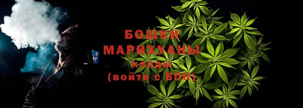 ПСИЛОЦИБИНОВЫЕ ГРИБЫ Вяземский