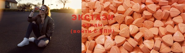 ПСИЛОЦИБИНОВЫЕ ГРИБЫ Вяземский