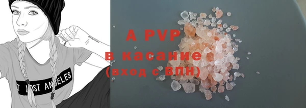 ПСИЛОЦИБИНОВЫЕ ГРИБЫ Вяземский