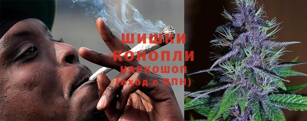ПСИЛОЦИБИНОВЫЕ ГРИБЫ Вяземский