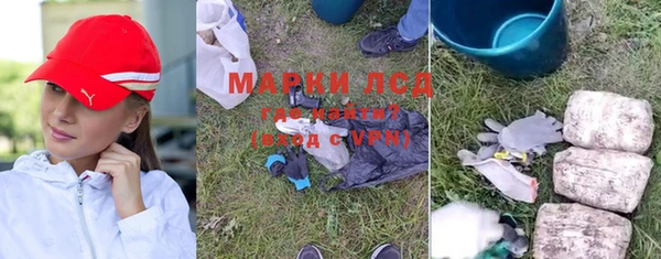 ПСИЛОЦИБИНОВЫЕ ГРИБЫ Вяземский
