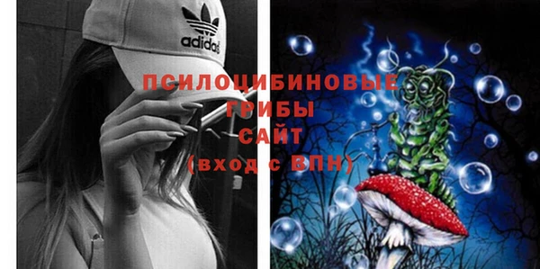 ECSTASY Вязьма