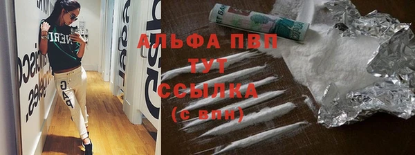 ПСИЛОЦИБИНОВЫЕ ГРИБЫ Вяземский