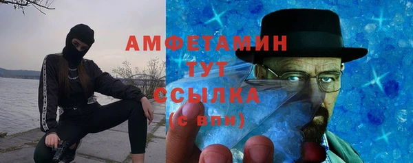 ПСИЛОЦИБИНОВЫЕ ГРИБЫ Вяземский
